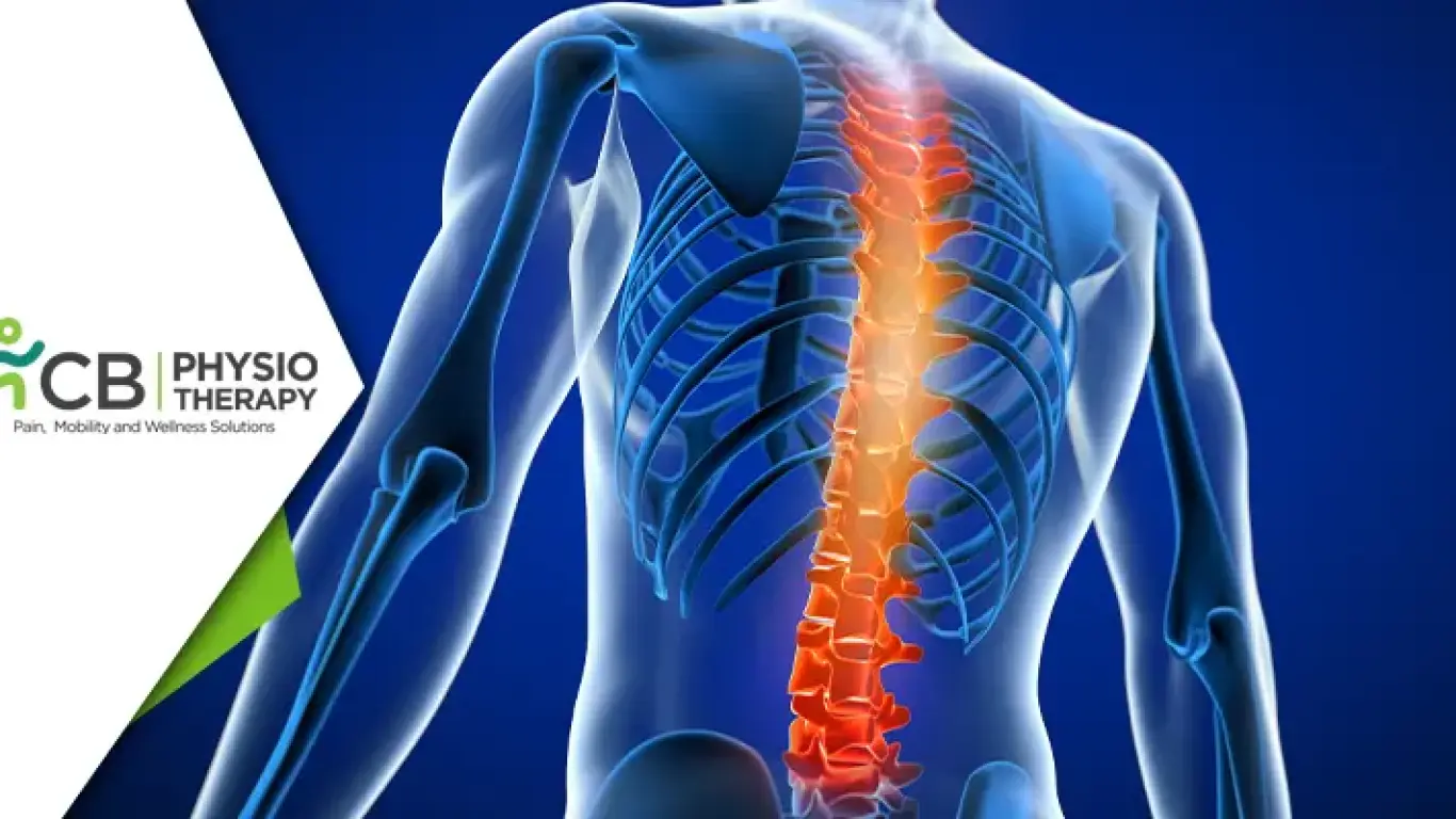 Top 20 Exercises After Spinal Injury To Improve Range Of Motion