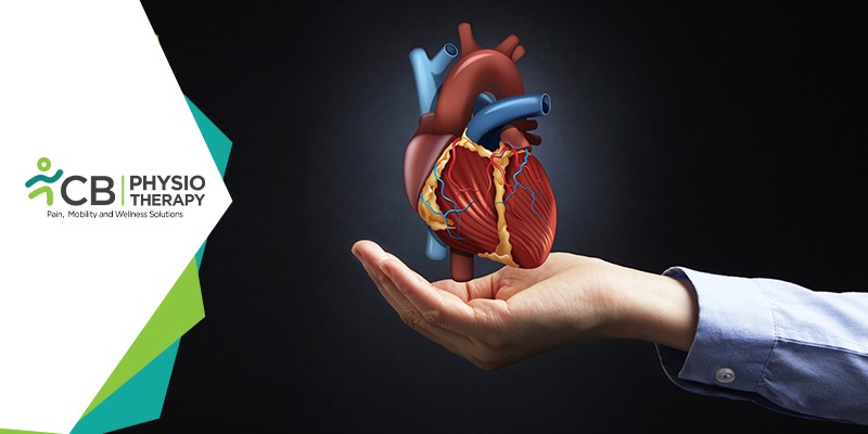 Cardiac Rehabilitation | Best Exercises After Heart Surgery