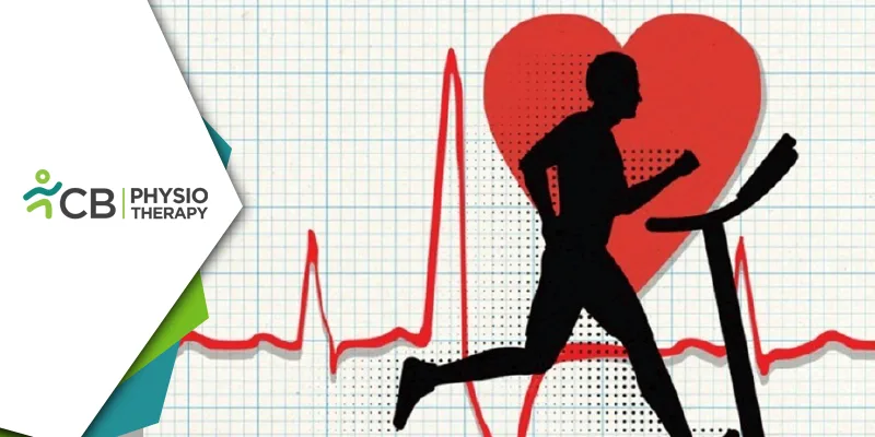 Eccentric Exercise In Physiotherapy | An Effective Approach To Improving Strength, Mobility, And Heart Health