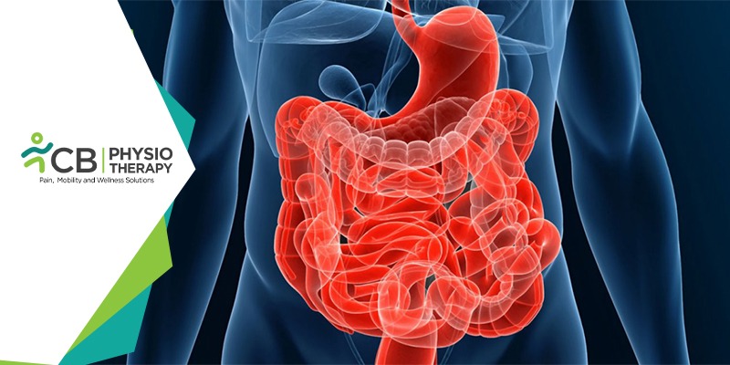 Management And Prevention Of Bowel Dysfunction By Physiotherapy