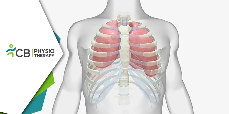 Reviving Comfort | The Crucial Role Of Physiotherapy In Costochondritis Recovery