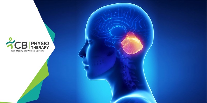 Top 10 Exercises For Cerebellar Ataxia Patients