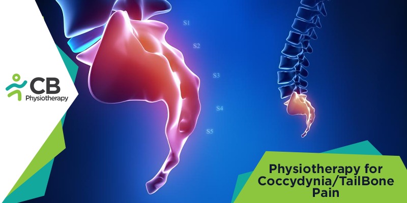 What Is Tailbone Pain And How Physiotherapy Can Help!