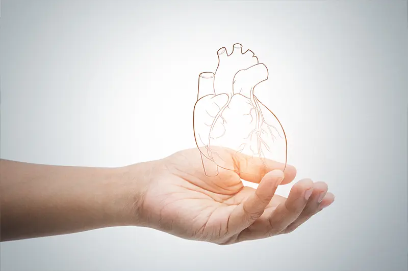 Cardio Respiratory Physiotherapist