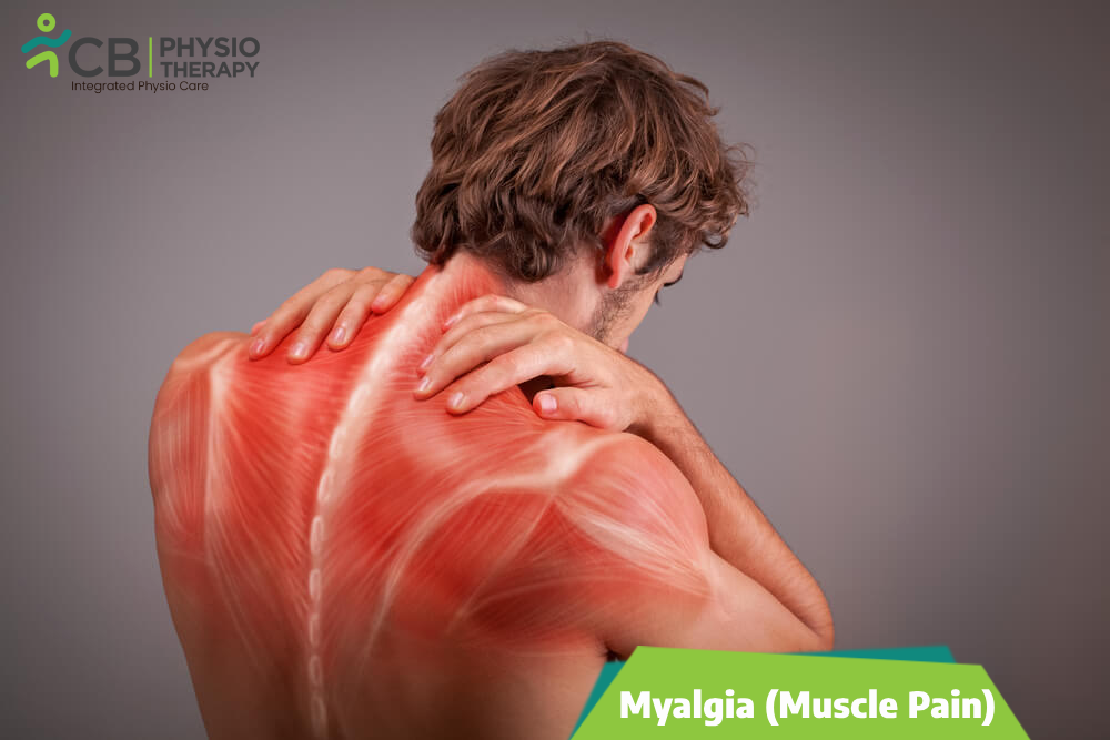 Myalgia (muscle Pain)